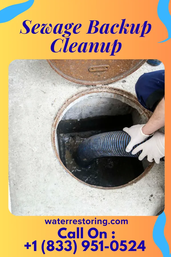 Sewage Backup Cleanup in Goehner, NE